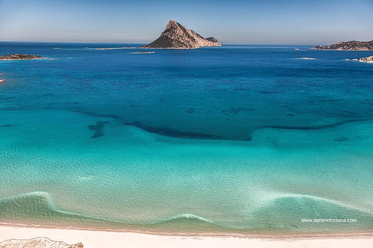 Aria Di Vacanza - Gelsi أولبيا المظهر الخارجي الصورة